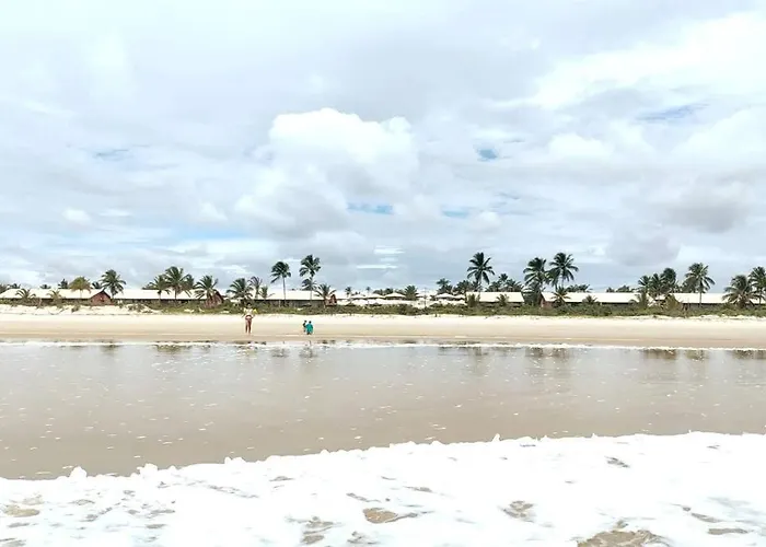 Apto Em Ilheus - Pe Na Areia